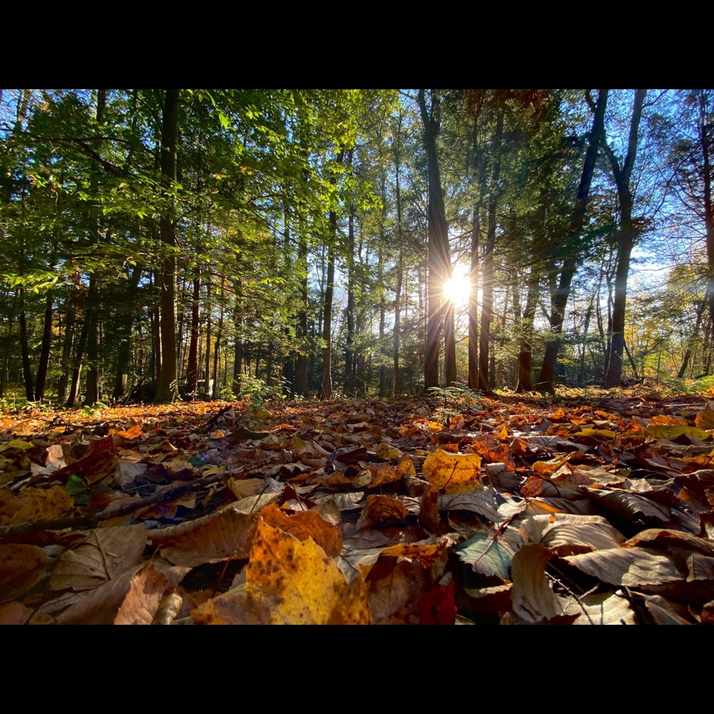 Meet your Posher, Briana